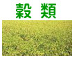 ���ނŌ������܂��B